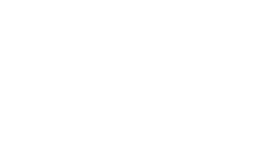 Skehans Logo
